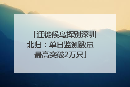 迁徙候鸟挥别深圳北归：单日监测数量最高突破2万只