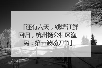 还有六天，钱塘江鲜回归，杭州杨公社区渔民：第一波盼刀鱼