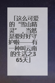 这么可爱的“雪山精灵”，当然是要好好守护啦——有一种叫云南的生活之365天