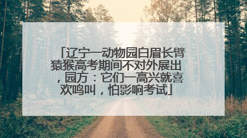 辽宁一动物园白眉长臂猿猴高考期间不对外展出，园方：它们一高兴就喜欢鸣叫，怕影响考试