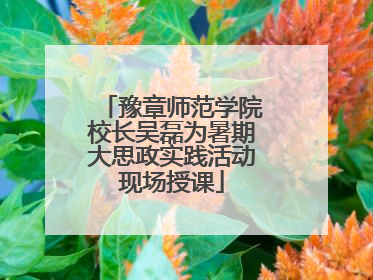 豫章师范学院校长吴磊为暑期大思政实践活动现场授课
