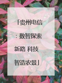 贵州电信：数智探索新路 科技智造农景