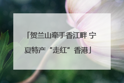 贺兰山牵手香江畔 宁夏特产“走红”香港