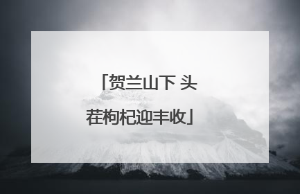 贺兰山下 头茬枸杞迎丰收