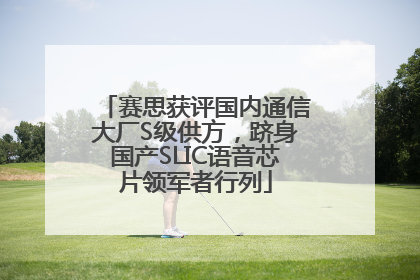赛思获评国内通信大厂S级供方，跻身国产SLIC语音芯片领军者行列
