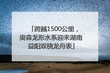 跨越1500公里，奥森龙形水系迎来湖南益阳双桡龙舟表