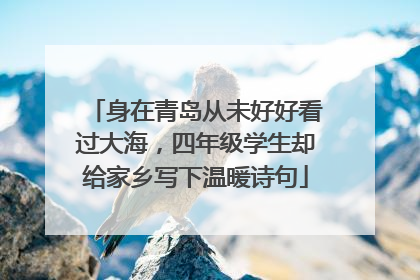 身在青岛从未好好看过大海，四年级学生却给家乡写下温暖诗句