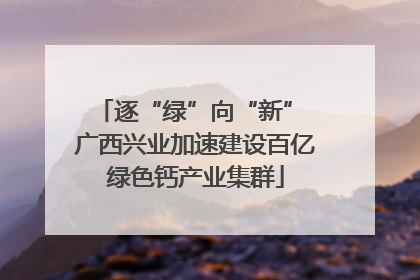 逐“绿”向“新” 广西兴业加速建设百亿绿色钙产业集群