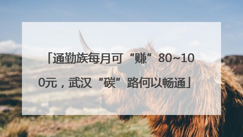 通勤族每月可“赚”80~100元，武汉“碳”路何以畅通