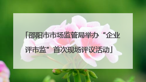 邵阳市市场监管局举办“企业评市监”首次现场评议活动