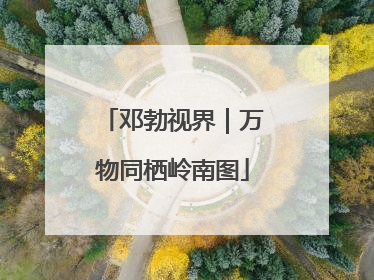 邓勃视界｜万物同栖岭南图