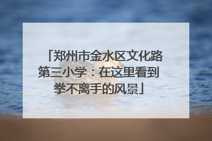 郑州市金水区文化路第三小学：在这里看到拳不离手的风景