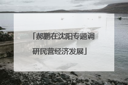 郝鹏在沈阳专题调研民营经济发展