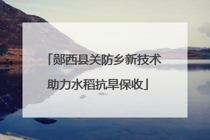 郧西县关防乡新技术助力水稻抗旱保收