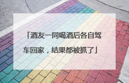酒友一同喝酒后各自驾车回家，结果都被抓了