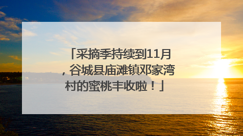 采摘季持续到11月，谷城县庙滩镇邓家湾村的蜜桃丰收啦！