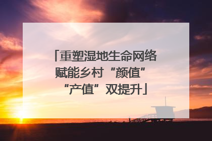 重塑湿地生命网络 赋能乡村“颜值”“产值”双提升