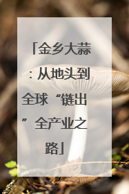 金乡大蒜：从地头到全球“链出”全产业之路