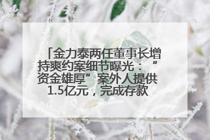 金力泰两任董事长增持爽约案细节曝光：“资金雄厚”案外人提供1.5亿元，完成存款证明后当日转回