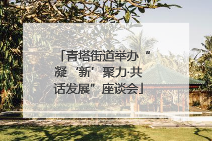青塔街道举办“凝‘新’聚力·共话发展”座谈会
