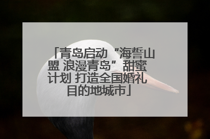 青岛启动“海誓山盟 浪漫青岛”甜蜜计划 打造全国婚礼目的地城市