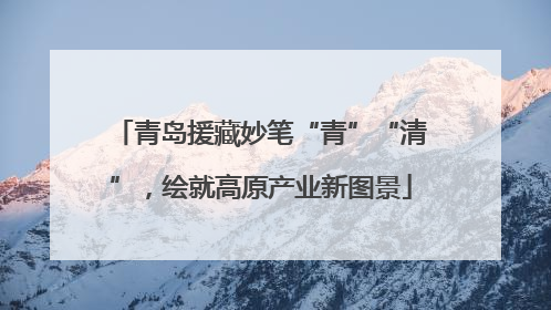 青岛援藏妙笔“青”“清”，绘就高原产业新图景