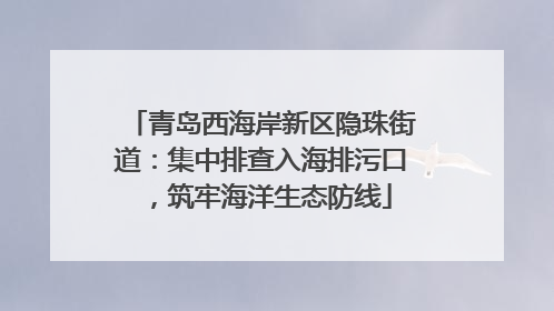 青岛西海岸新区隐珠街道：集中排查入海排污口，筑牢海洋生态防线