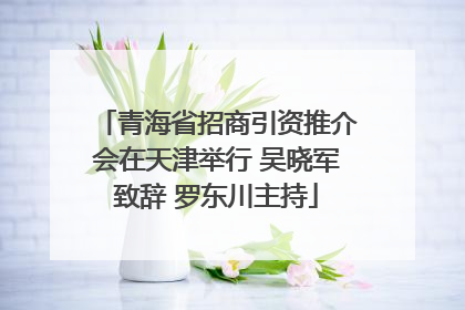 青海省招商引资推介会在天津举行 吴晓军致辞 罗东川主持
