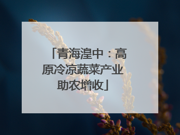 青海湟中：高原冷凉蔬菜产业助农增收
