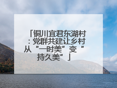 铜川宜君东湖村：党群共建让乡村从“一时美”变“持久美”