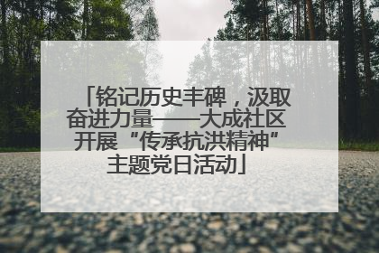 铭记历史丰碑，汲取奋进力量——大成社区开展“传承抗洪精神”主题党日活动