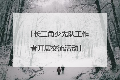 长三角少先队工作者开展交流活动