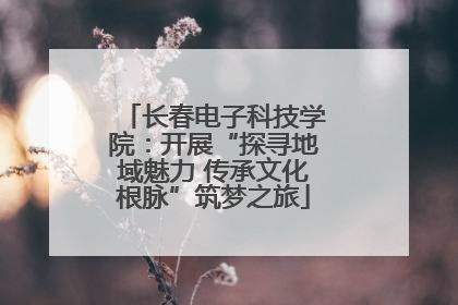 长春电子科技学院：开展“探寻地域魅力 传承文化根脉”筑梦之旅