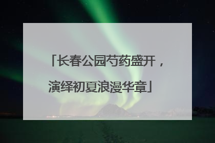 长春公园芍药盛开，演绎初夏浪漫华章