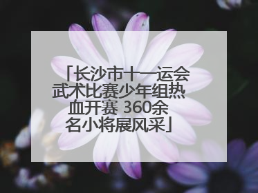 长沙市十一运会武术比赛少年组热血开赛 360余名小将展风采