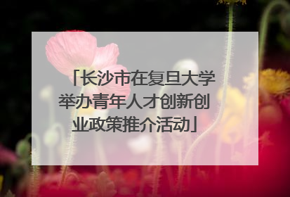 长沙市在复旦大学举办青年人才创新创业政策推介活动