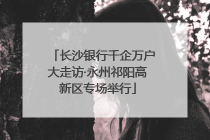 长沙银行千企万户大走访·永州祁阳高新区专场举行