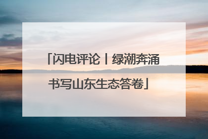 闪电评论丨绿潮奔涌 书写山东生态答卷