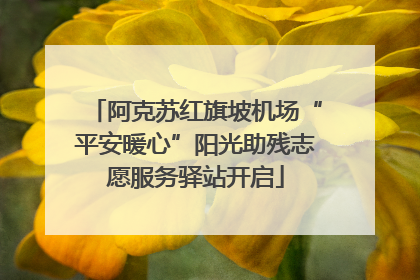 阿克苏红旗坡机场“平安暖心”阳光助残志愿服务驿站开启