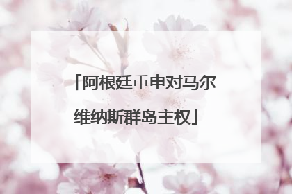 阿根廷重申对马尔维纳斯群岛主权