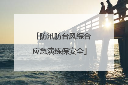 防汛防台风综合应急演练保安全