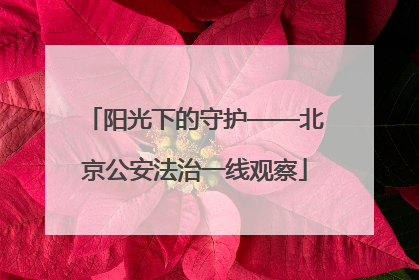 阳光下的守护——北京公安法治一线观察