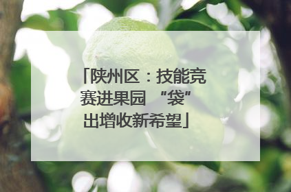 陕州区：技能竞赛进果园 “袋”出增收新希望