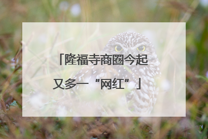 隆福寺商圈今起又多一“网红”