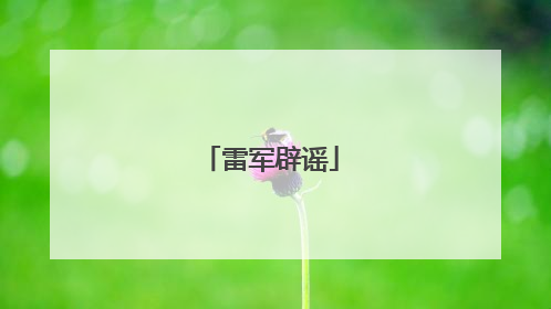 雷军辟谣