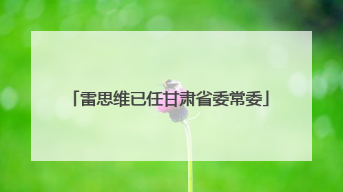雷思维已任甘肃省委常委