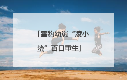雪豹幼崽“凌小蛰”百日重生