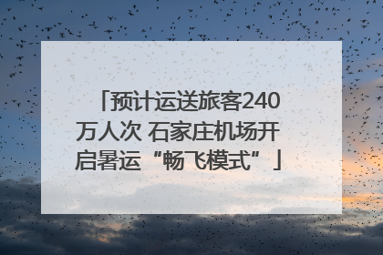 预计运送旅客240万人次 石家庄机场开启暑运“畅飞模式”