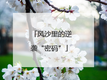 风沙里的逆袭“密码”