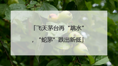 飞天茅台再“跳水”，“蛇茅”跌出新低
